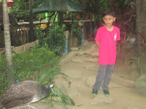IMG 1524