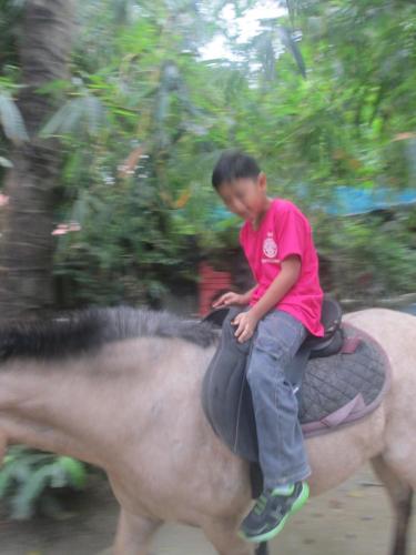 IMG 1539