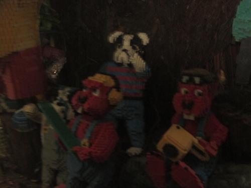 IMG 1548