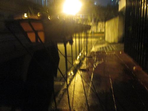 IMG 1557