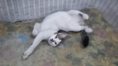 20151217 192339-Copy