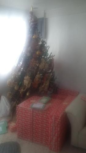 20151224 113525-Copy