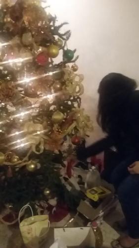 20151219 225742-Copy